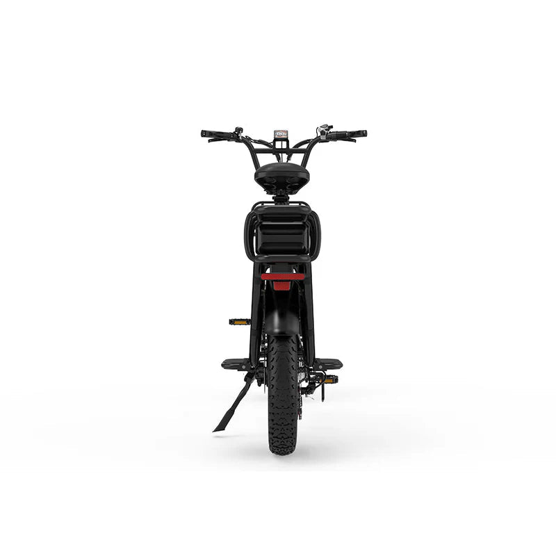 KOOLUX X8 FAT TYRE CARGO elektrijalgratas 64Ah