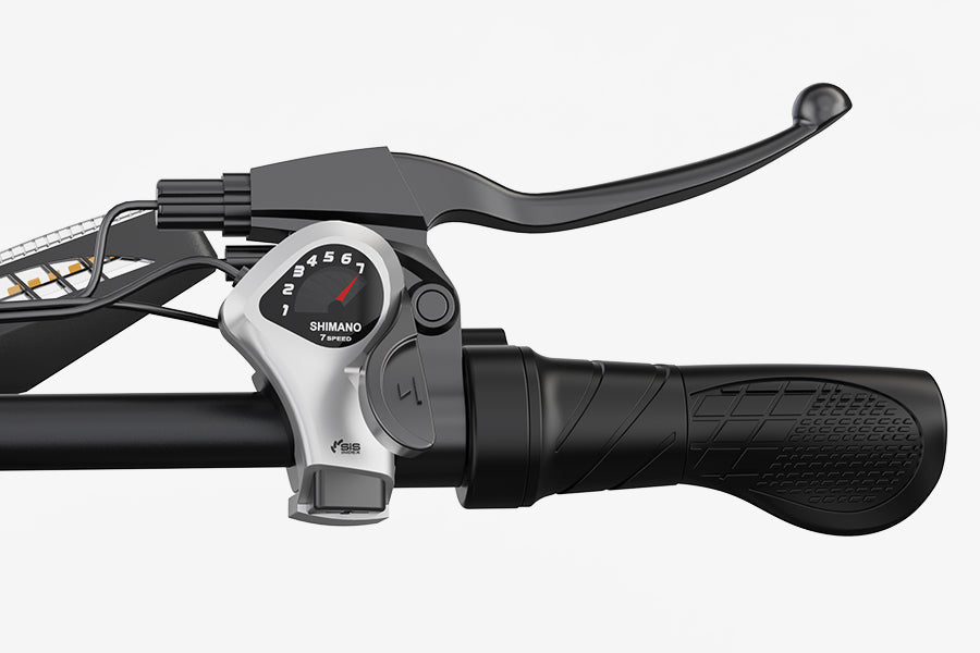 VARUN X-PLORER RAPTOR elektrijalgratas 48V 20.8A