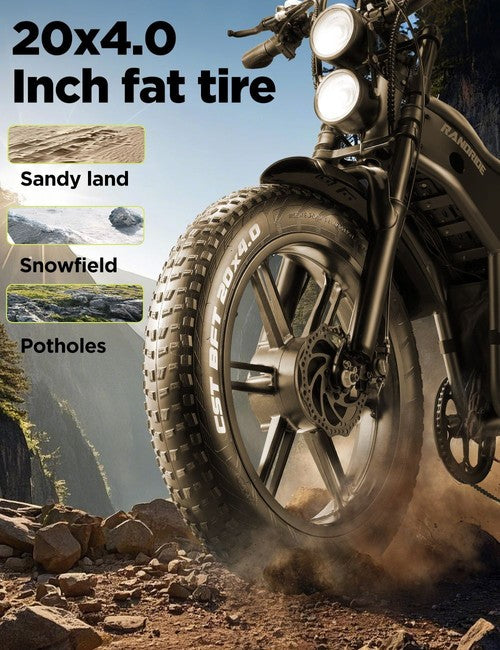 RANDRIDE DM711 elektrijalgratas, 1000W*2 mootor, 48V 20Ah