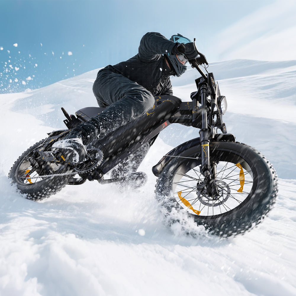 VARUN X-PLORER RAPTOR elektrijalgratas 48V 20.8A