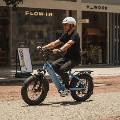 FAFREES F20 Rover elektrijalgratas 250W
