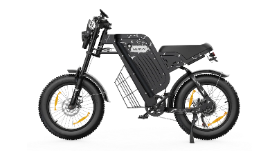 VARUN X-PLORER RAPTOR elektrijalgratas 48V 20.8A