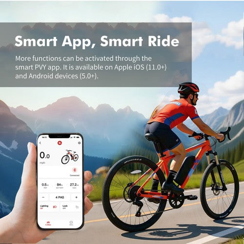 PVY M29 elektrijalgratas 250W mootor 48V 17,5Ah