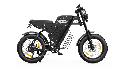 VARUN X-PLORER RAPTOR elektrijalgratas 48V 20.8A