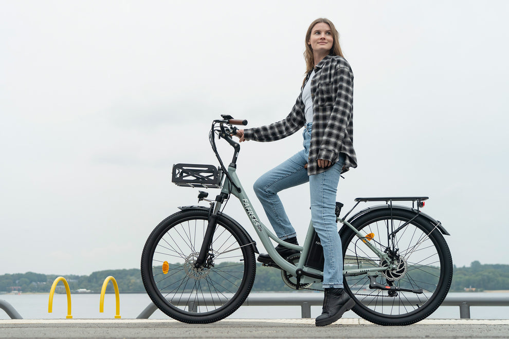 Fafrees F26 kestev 25 Ah elektrijalgratas