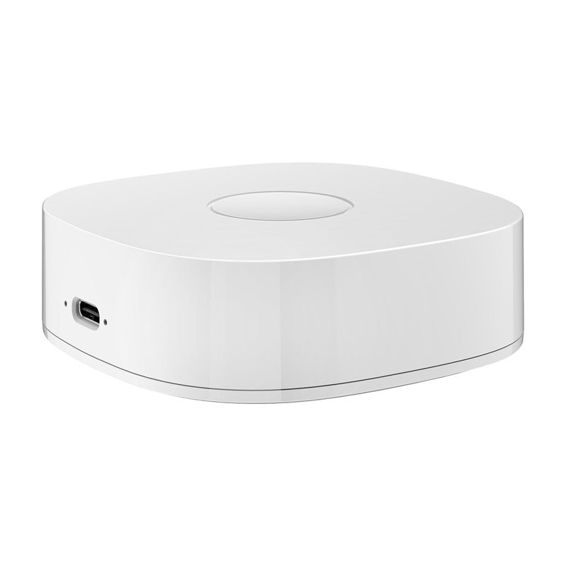 Smart home WS2GW-R WiFi