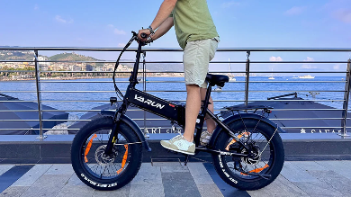 VARUN S20-1 elektrijalgratas 250W