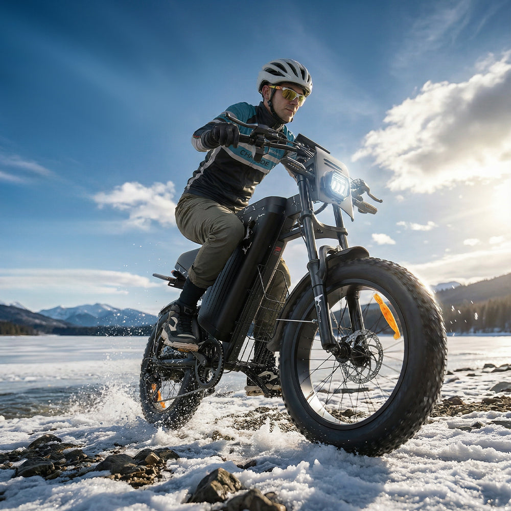 VARUN X-PLORER RAPTOR elektrijalgratas 48V 20.8A