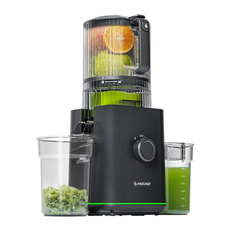 AMZCHEF CE-ZM1919 Slow Juicer (Black)