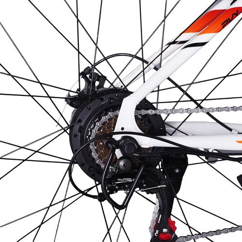 PVY M29 elektrijalgratas 250W mootor 48V 17,5Ah