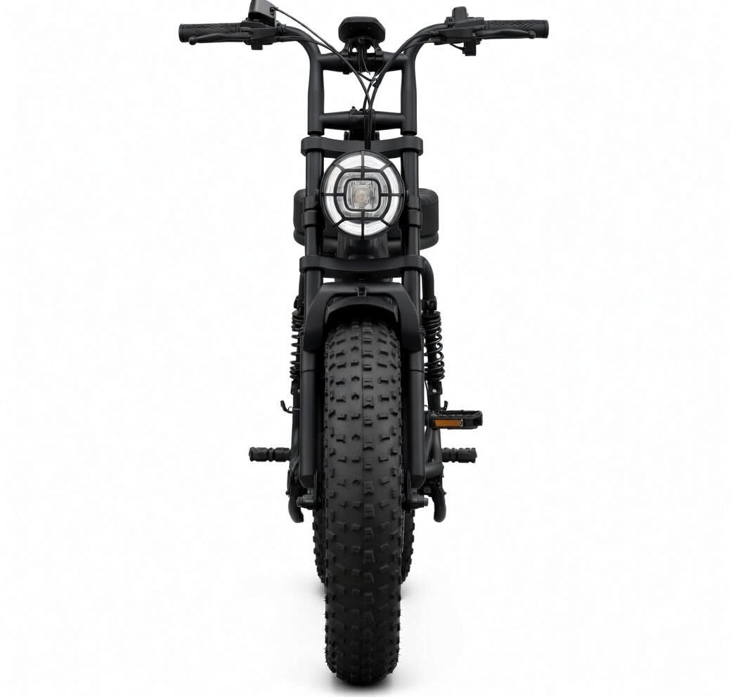 SAIBAIKE R7 elektrijalgratas 750W