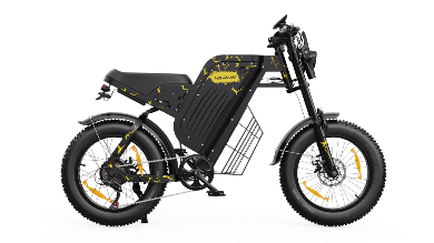 VARUN X-PLORER RAPTOR elektrijalgratas 48V 20.8A