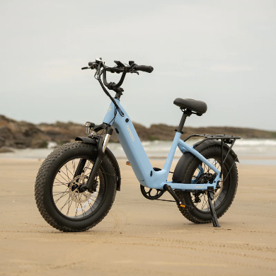 FAFREES F20 Rover elektrijalgratas 250W