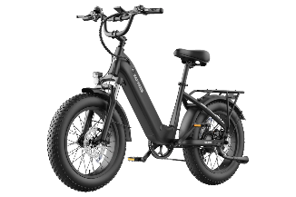FAFREES F20 Rover elektrijalgratas 250W