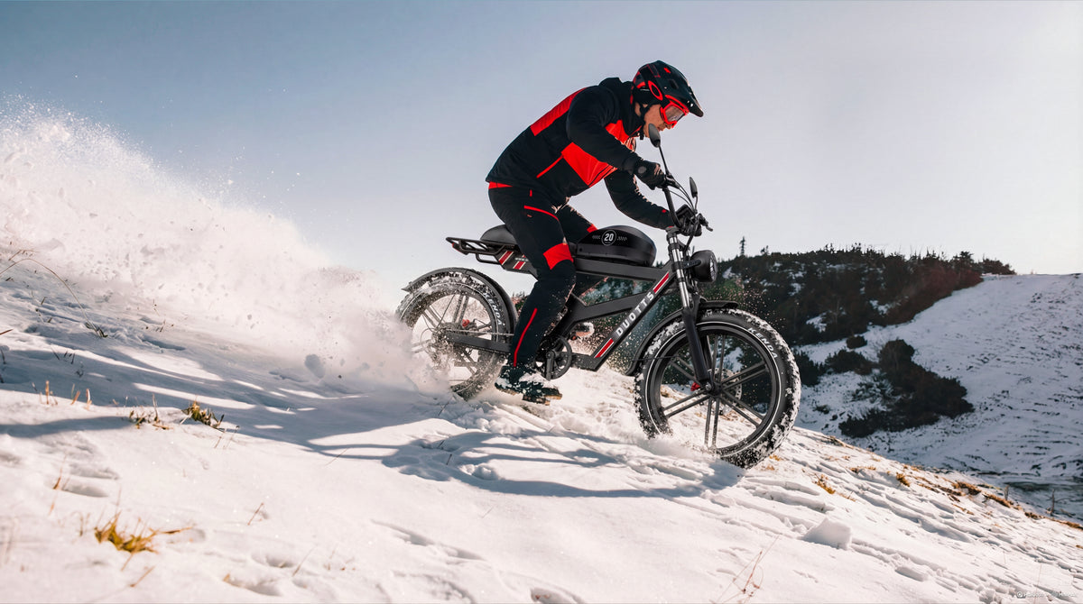 DUOTTS F20 elektrijalgratas 27Ah 750W