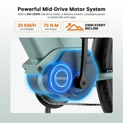 Foride Urbano 1 elektrijalgratas, 250 W, 36 V 13 Ah