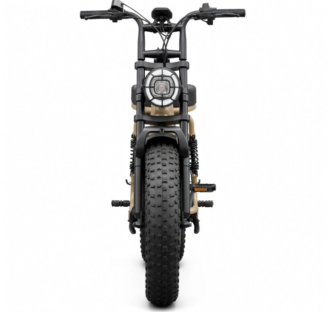 SAIBAIKE R7 elektrijalgratas 750W