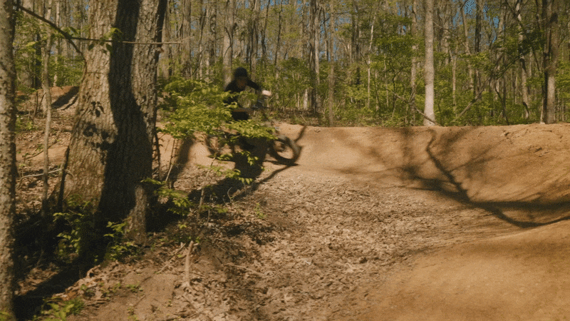 PVY Z20 Plus 1000W elektrijalgratas 48V 16,5Ah